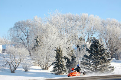 Fun in the Minnesota Sun Photo by Trisha Field