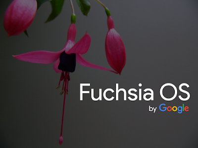fuchsia operating system