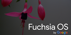 Fuchsia OS - a New Open Source OS from Google