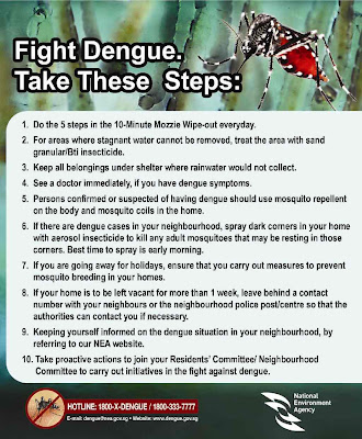 dengue+fever treatment
