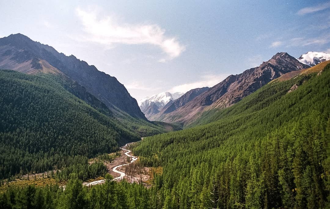 горный дикий край. горный алтай тайга сибирь. горный дикий край. природный парк иремель животные. среднеафганские горы.