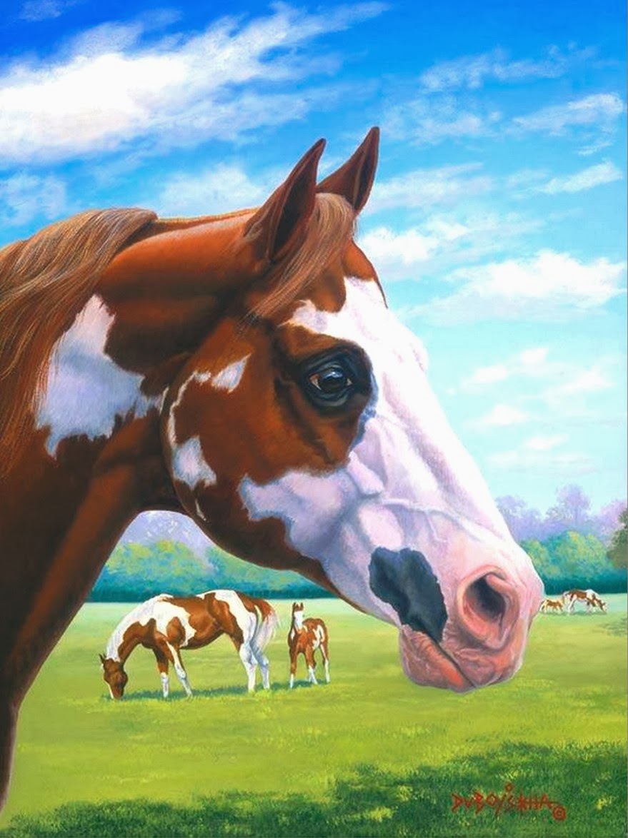 cuadros de caballos al oleo cuadros modernos pinturas y dibujos retratos de caballos cuadros de caballos al oleo cuadros modernos pinturas y dibujos retratos de caballos