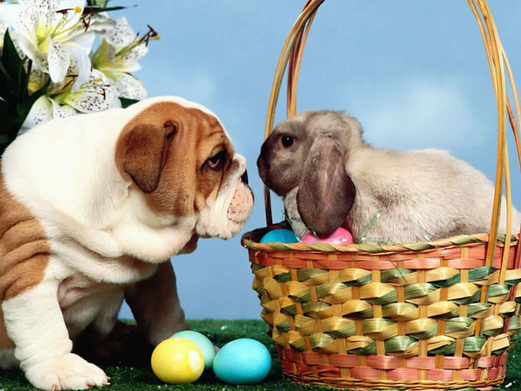 Happy Easter Wallpapers | Free Christian Wallpapers