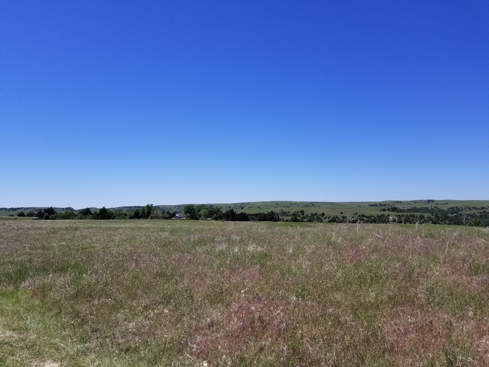 Wilderness Wanderings Oregon Trail Windlass Hill Ash Hollow