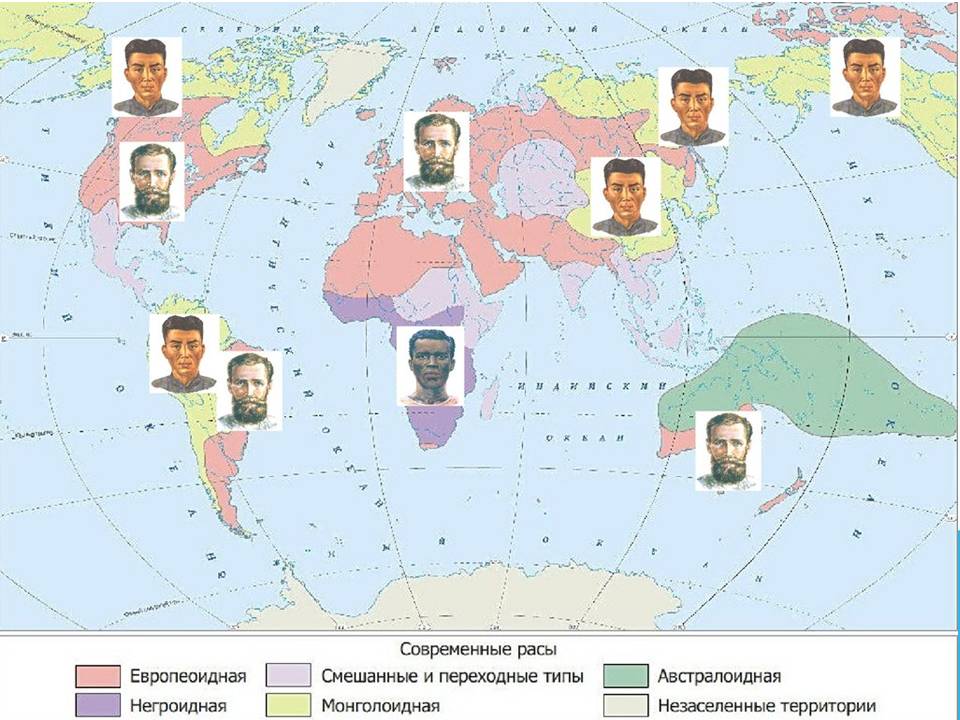 расселение древних людей по земному шару. освоение земли человеком 7 класс. расселение людей на земле. география человеческих рас. карта мира расселение людей расы.