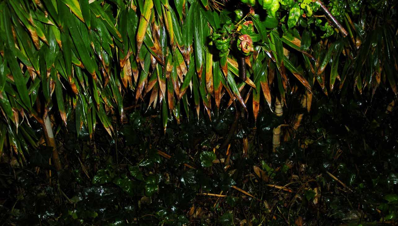 Photo Essays Toxic Urban Landscapes Air Pollution Climate Change