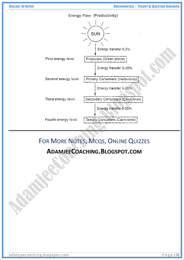 bioenergetics-descriptive-question-answers-biology-11th