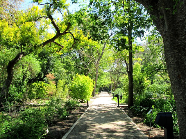 Un día de primavera en el Jardín Botánico de Valencia, abril 2014 - Paseos Fotográficos Valencia