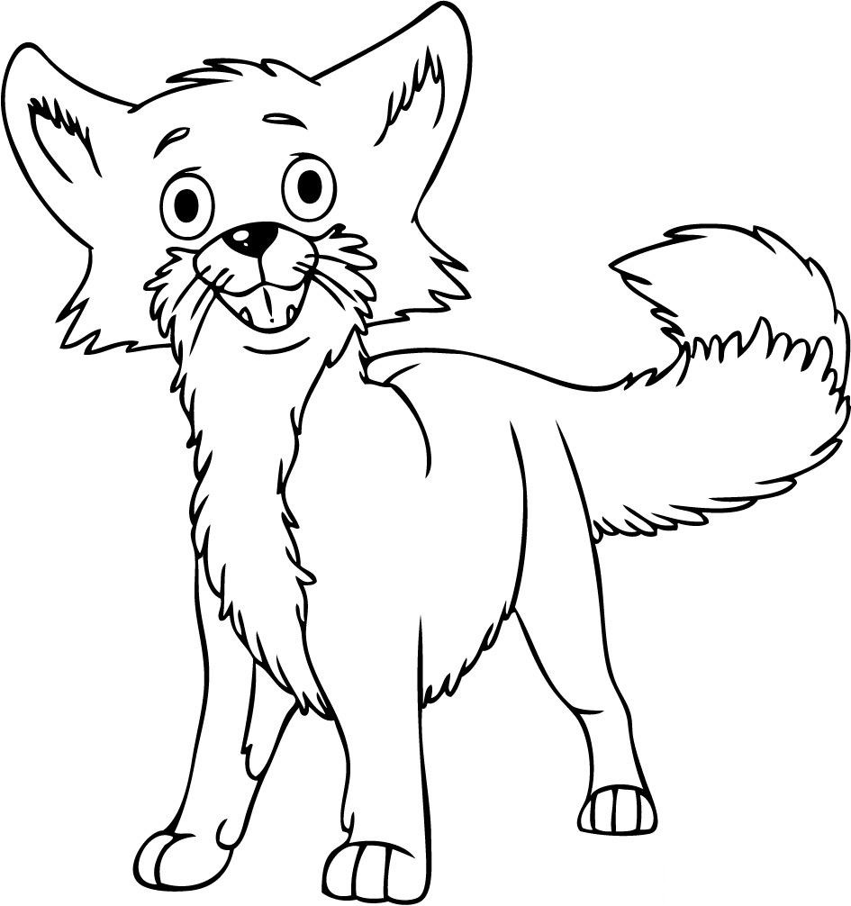 RECURSOS y ACTIVIDADES para Educación Infantil: Imágenes a color de ZORROS