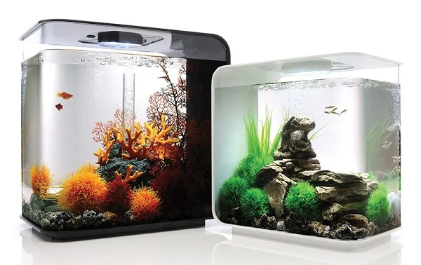 Aquarium Mini Biorb - Budidaya Ikan