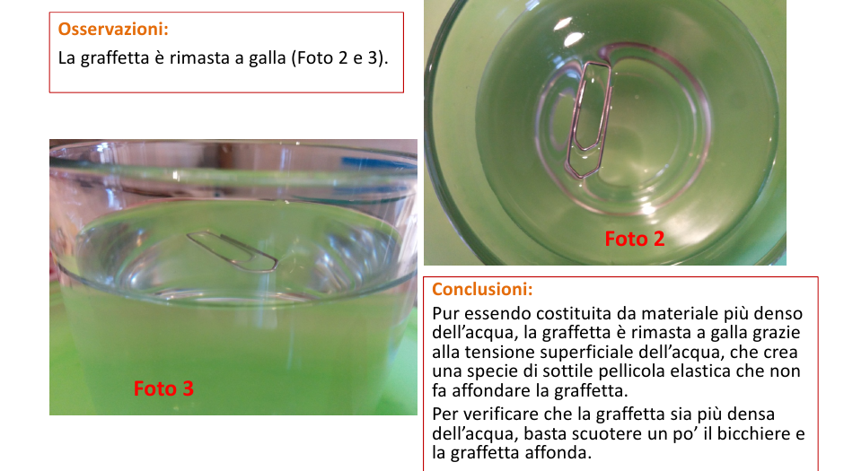 Matematica Scienze Educazione Proprieta Tipiche Dei Liquidi