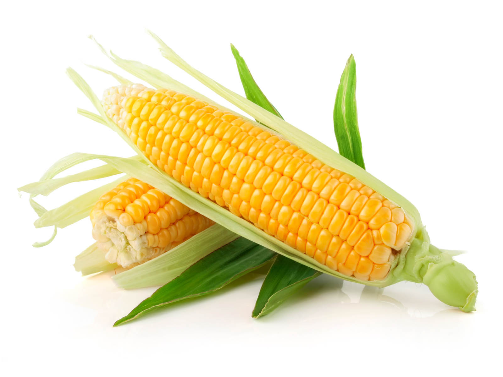 Pictures Of Corn 78