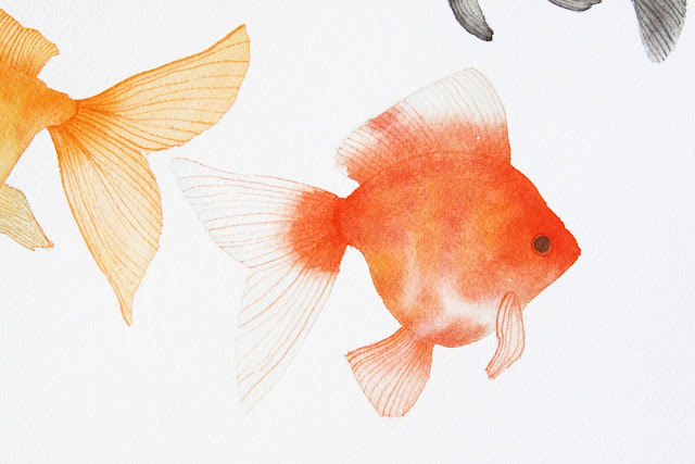 watercolor, watercolor goldfish, goldfish, Anne Butera, My Giant Strawberry