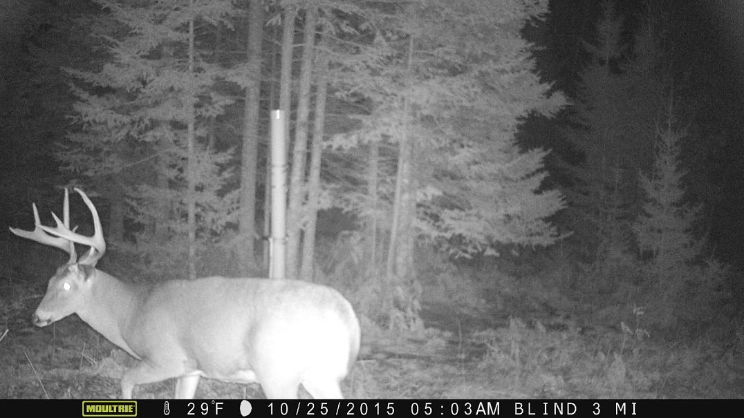 Josh Stein's Online Buck Pole February 2016