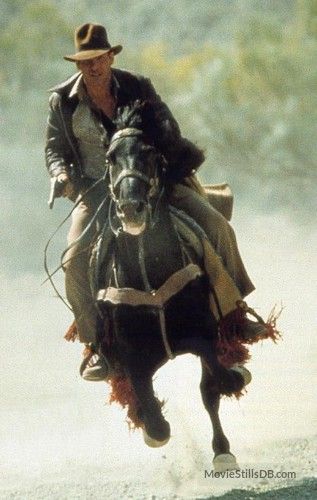 not the same horse used in rambo III and indiana jones and the last crusade