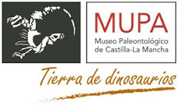 MUSEO PALEONTOLÓGICO DE CASTILLA-LA MANCHA