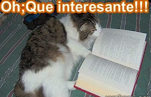 HAY LIBROS INTERESANTES