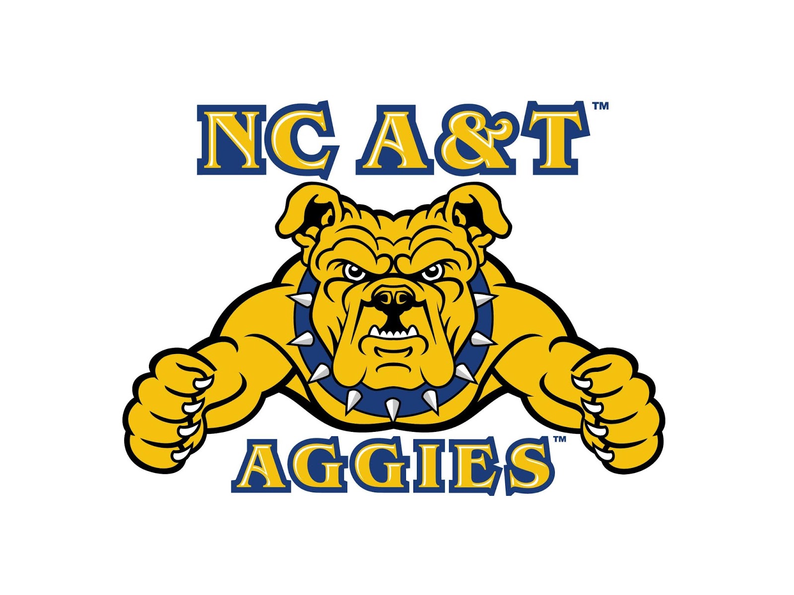 MEAC/SWAC SPORTS MAIN STREET™ North Carolina A&T Volleyball Gets Two