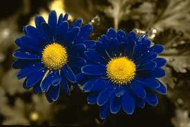 Quotes for spring, quotes about spring | Amazing Wallpapers