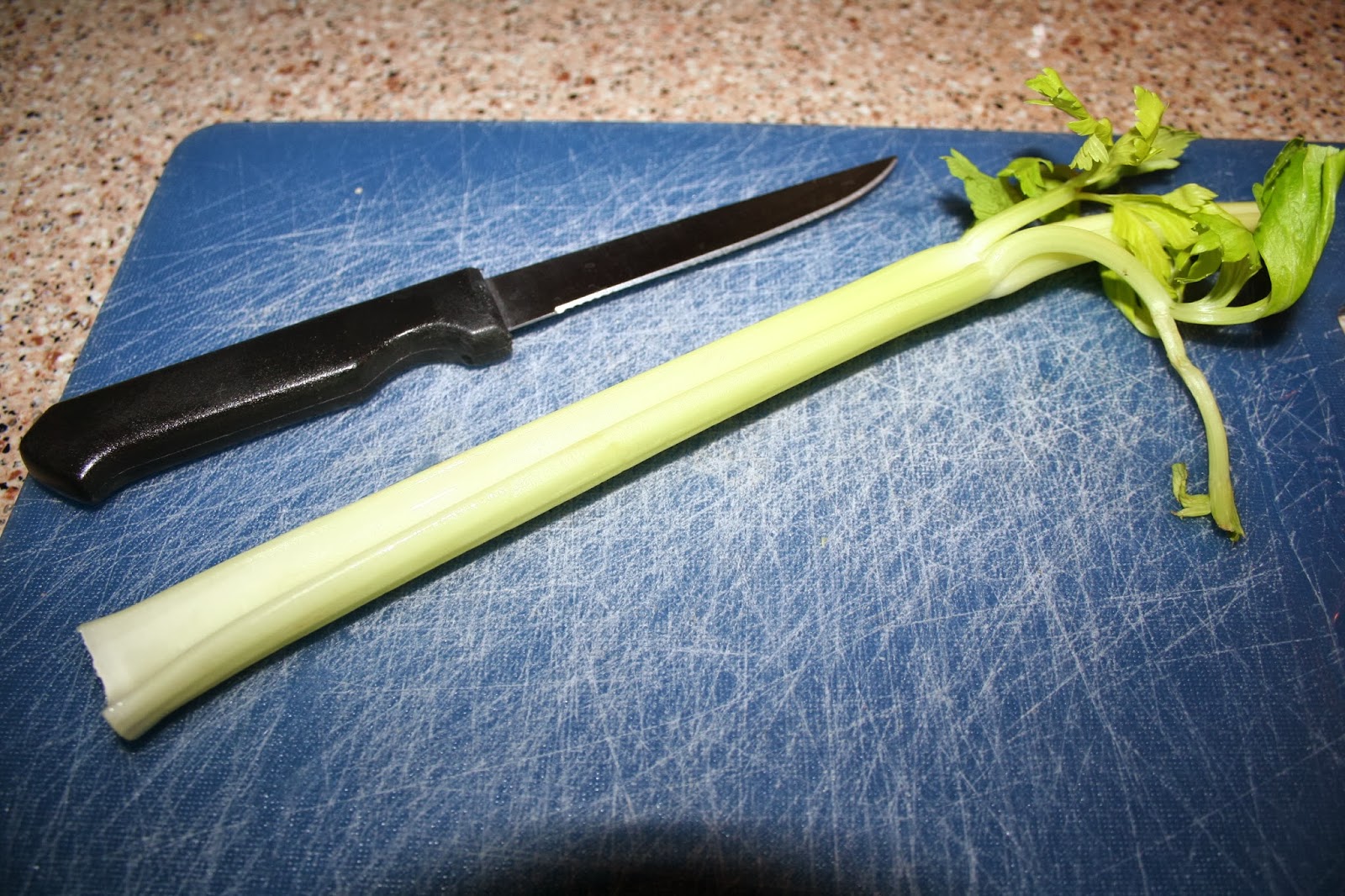 NOVA Frugal Family Thrifty Thursday What to Do with Wilted Celery and