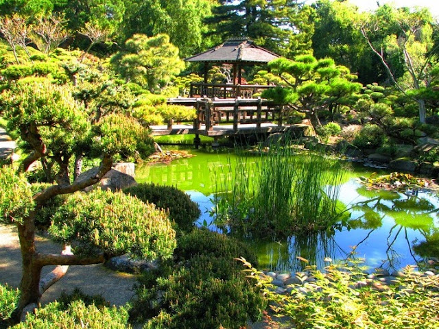 Japanese Tea Garden at San Francisco