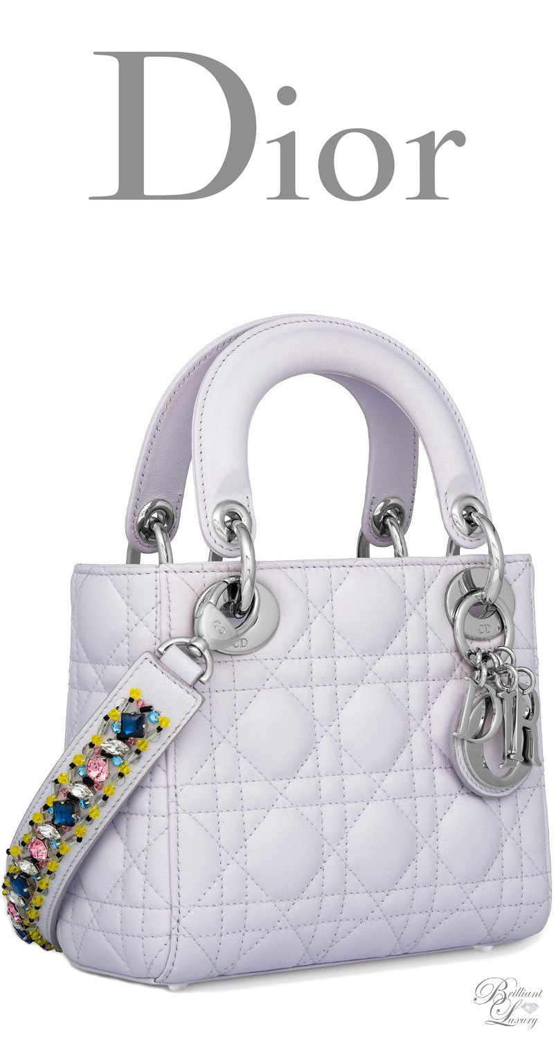 Mini Dior Bag White IUCN Water