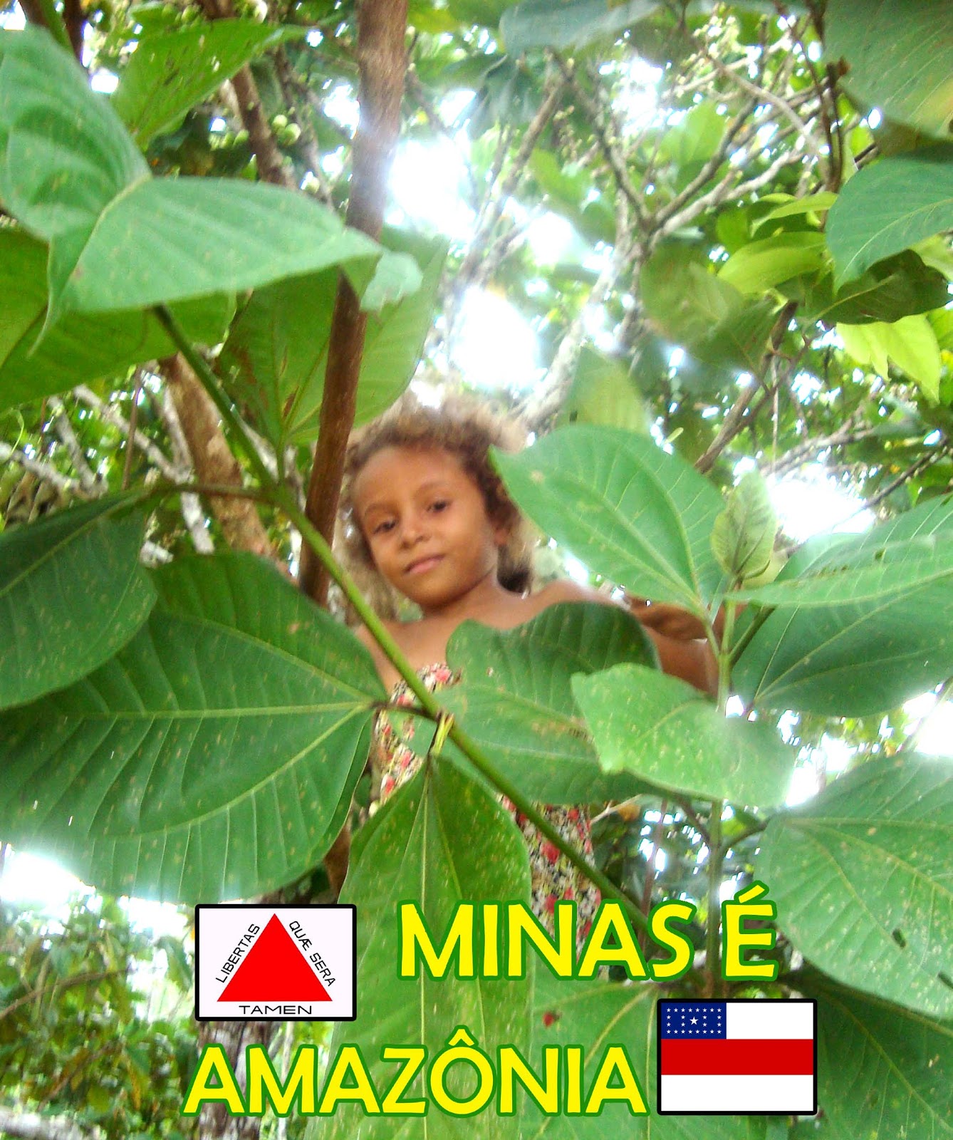 O Professor De Biologia Pediu Para Que Seus Alunos - EDUCA