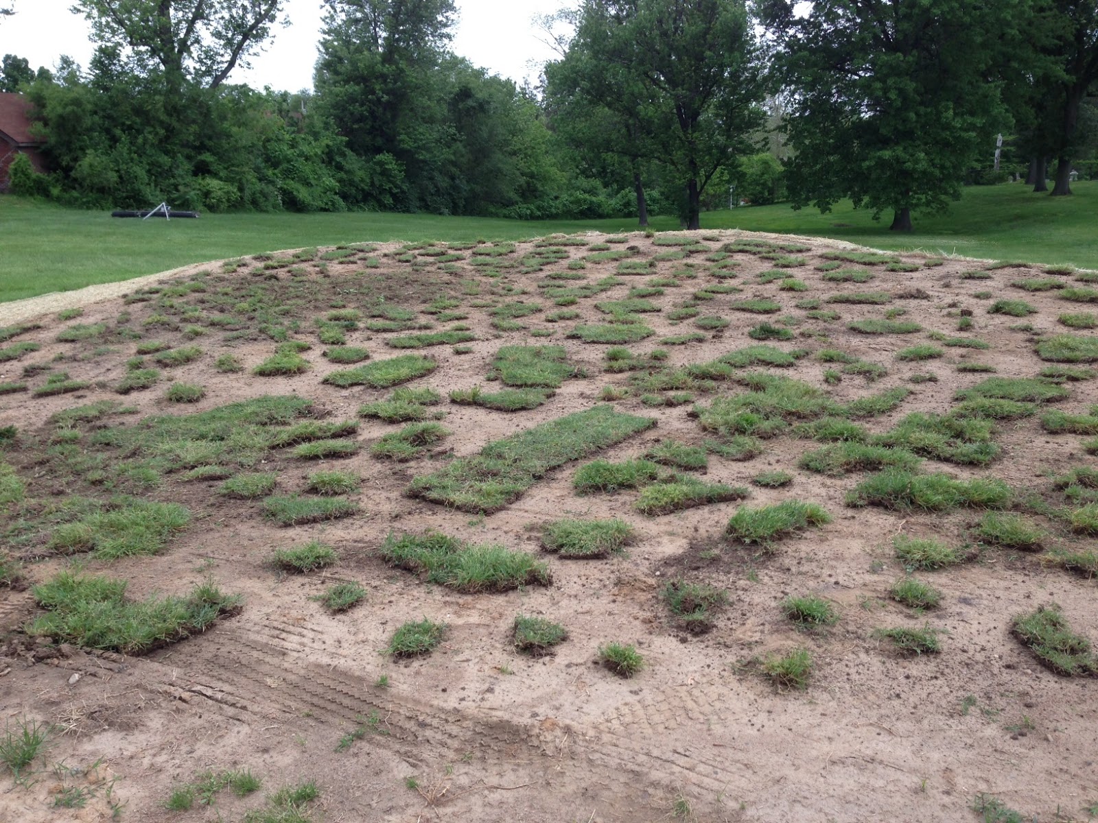 Glen Echo Country Club Golf Course Management Bermuda sod removal