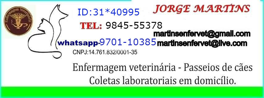 martins enfervet passeios e home care