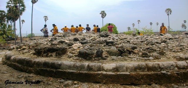 IMGP0908.JPG