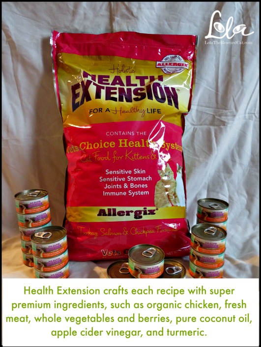 Lola The Rescued Cat Feed Your Cat Holistic Health Extension For