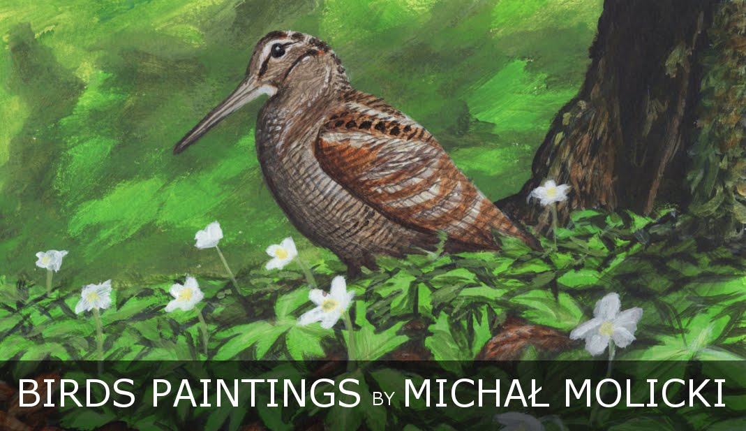 BIRDS PAINTINGS by MICHAŁ MOLICKI