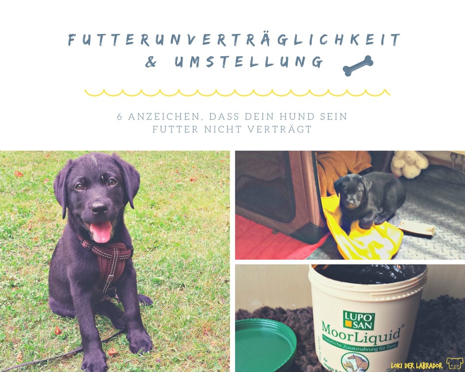 durchfall aufregung