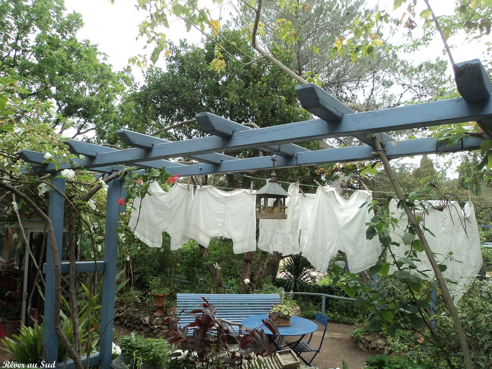 R??ver au Sud: Un jardin enchant?� (2)