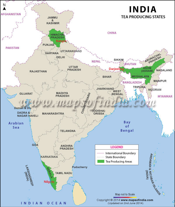 Tea In The Ancient World Gopaldhara Maharaja Of Darjeeling Muscatel tea-in-the-ancient-world-gopaldhara-maharaja-of-darjeeling-muscatel