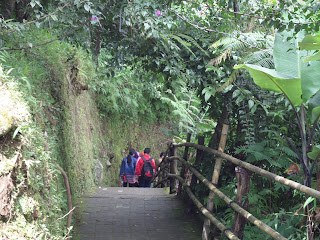  Jalan Jalan ke Objek Wisata Karanganyar Jawa Tengah Liburan Seru ke Parang Ijo, Kemuning, dan Jumog Karang Anyar