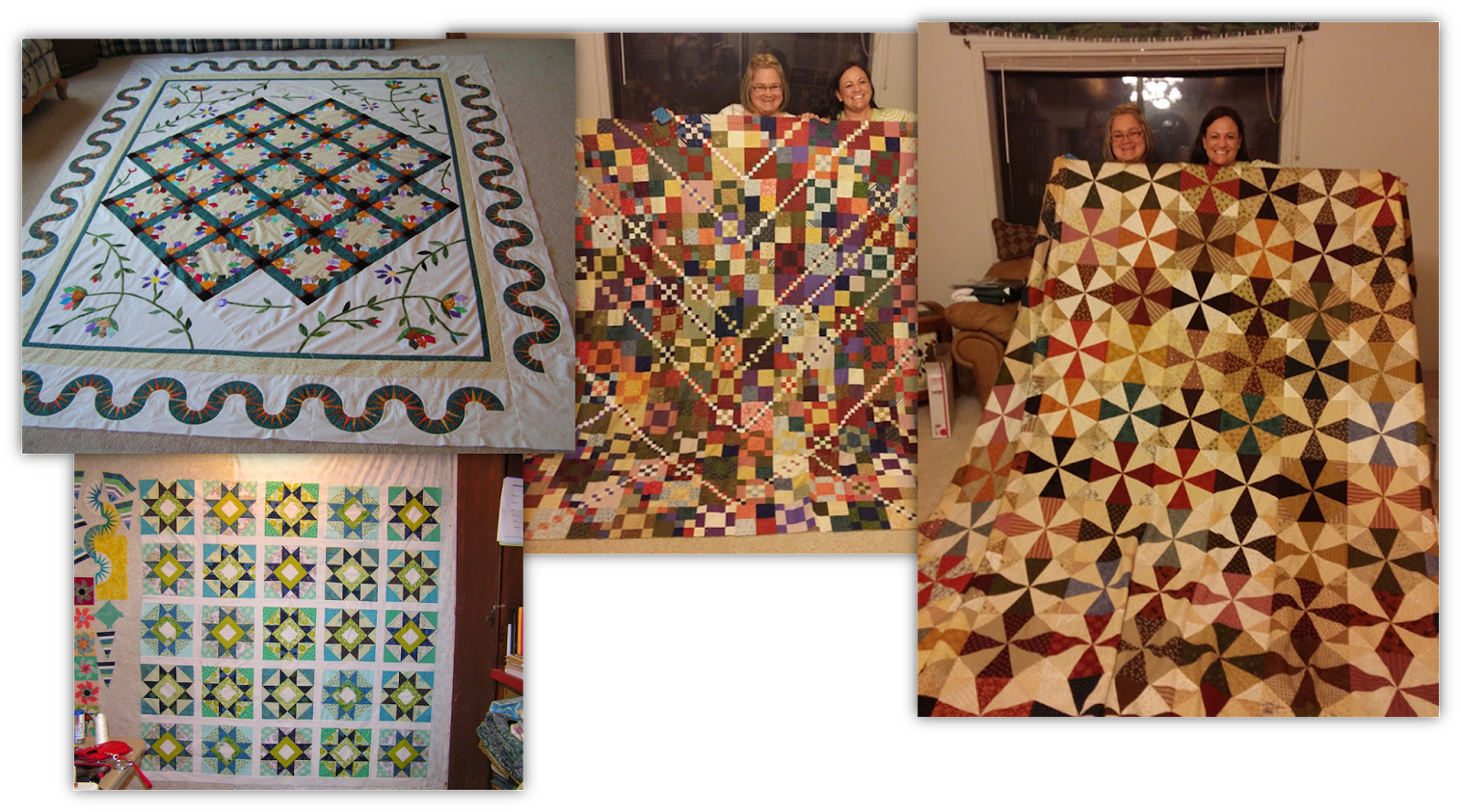 Dreamworthy Quilts Deana's quilty year in review...