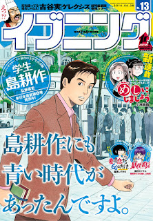 Evening 2016-13 (イブニング 2016年13号)