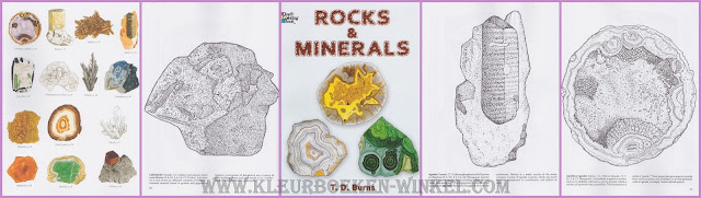 DZ 115 rocks en minerals