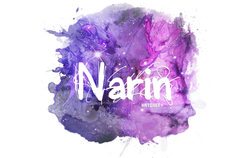 Narin.png