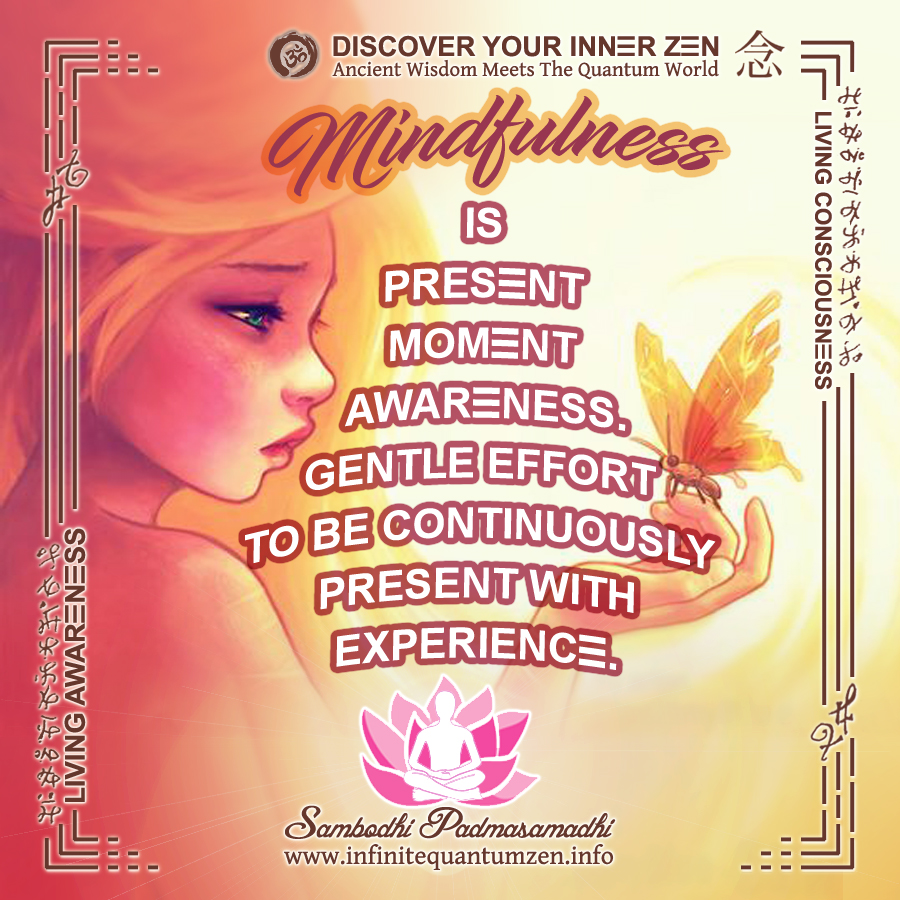 Mindfulness is present moment awareness - gentle effort to be continuously present with experience - Infinite Quantum Zen, Success Life Quotes