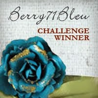 Berry71Bleu Challenge Winner