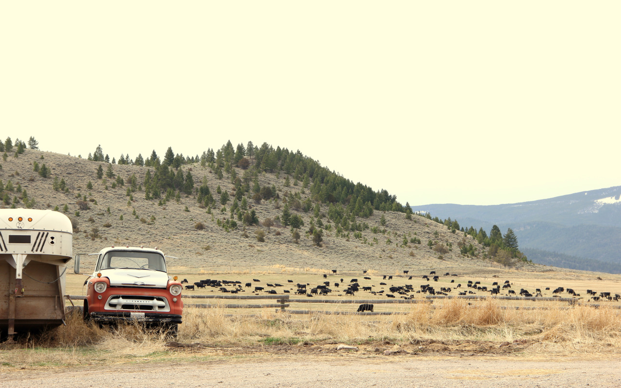 daily timewaster Bignell Ranch, Blackfoot Valley, Montana