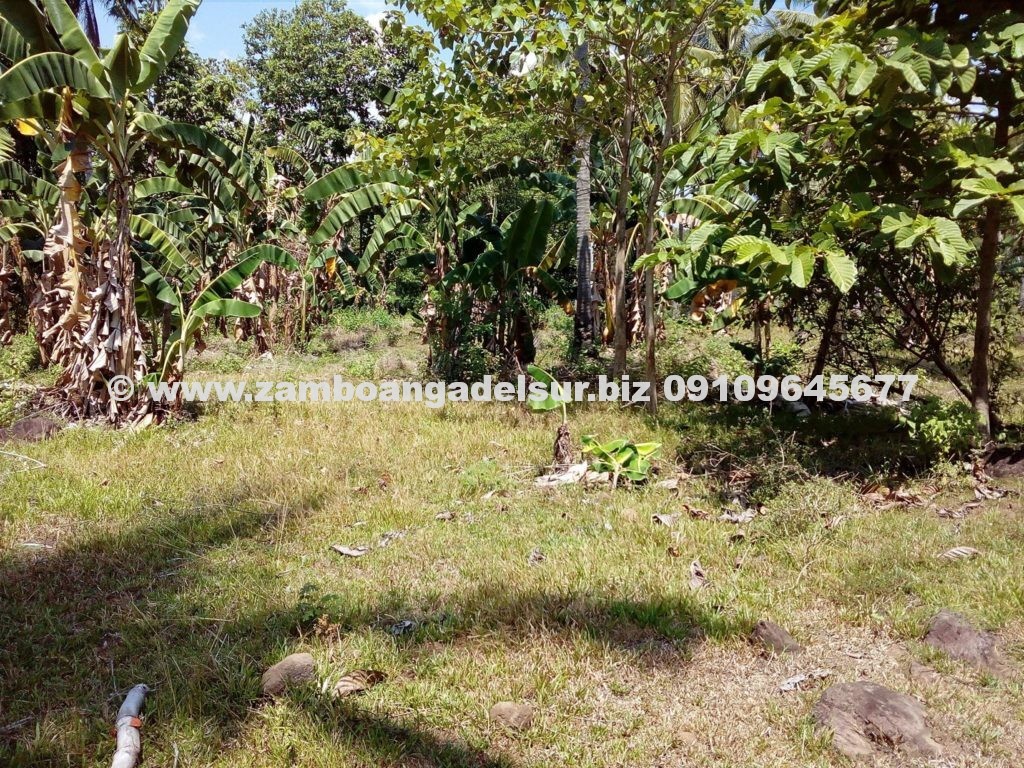 Zamboanga del Sur Properties FOR SALE 1,600 SQ.M LOT AT PAGADIAN CITY