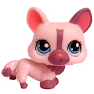 Littlest Pet Shop Multi Pack Corgi (#1645) Pet Littlest Pet Shop Multi Pack Corgi (#1645) Pet