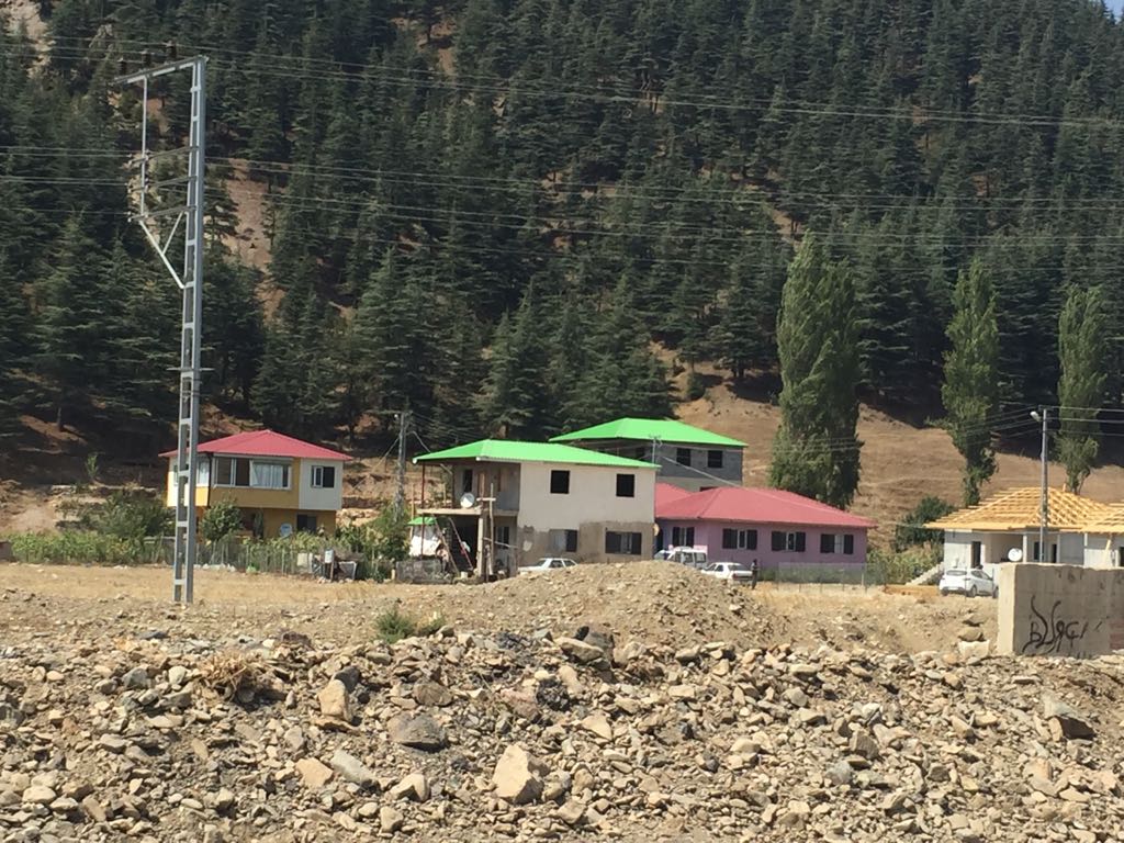 ARICI MEHMET HOCA ARICI MEHMET HOCA