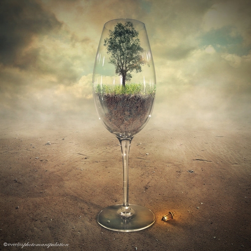 13-Glass-Of-Tree-Even-Liu-Surreal-Photo-Manipulations-and-the-Lantern-www-designstack-co