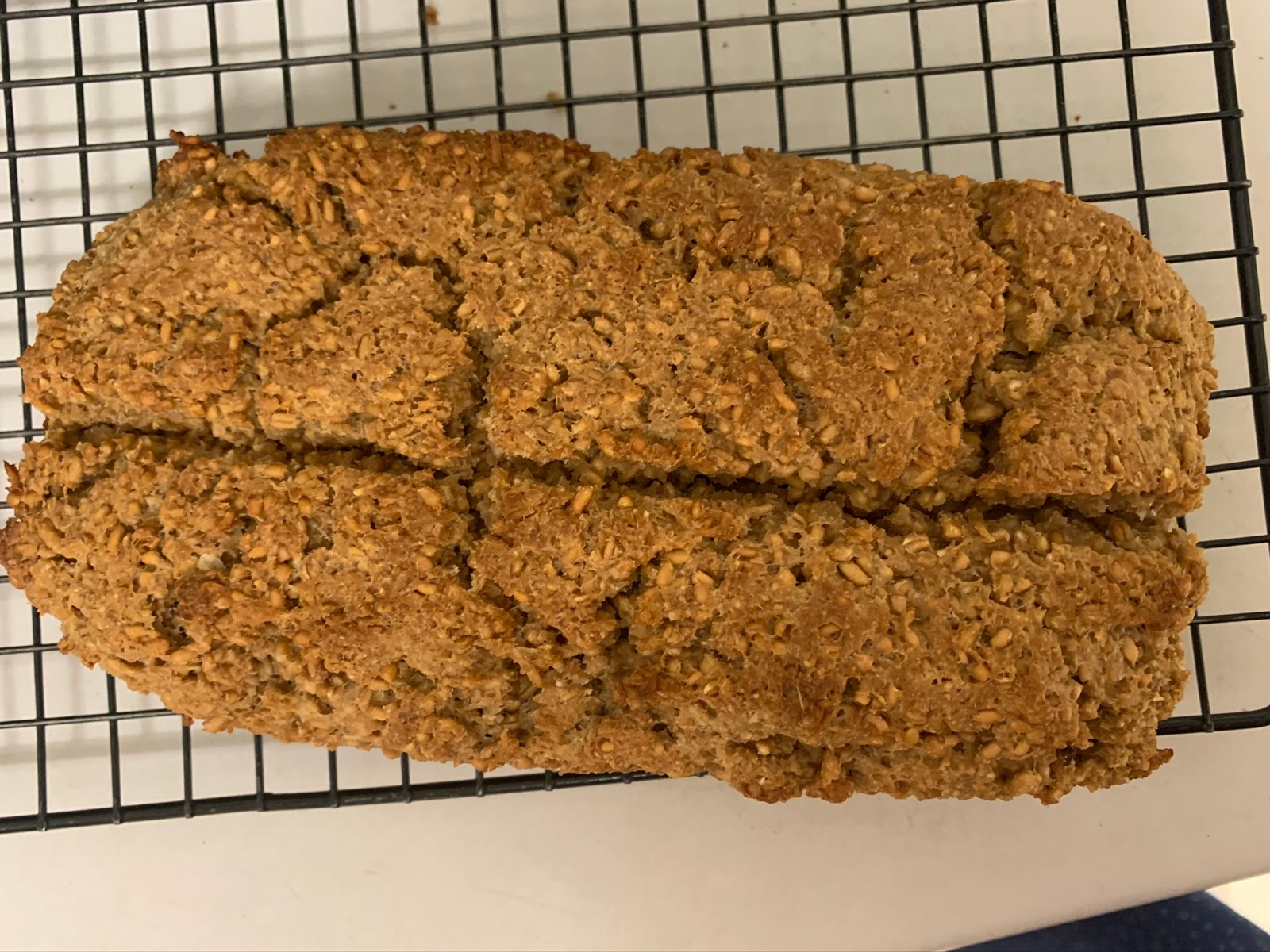 Vitamix as Grain Mill