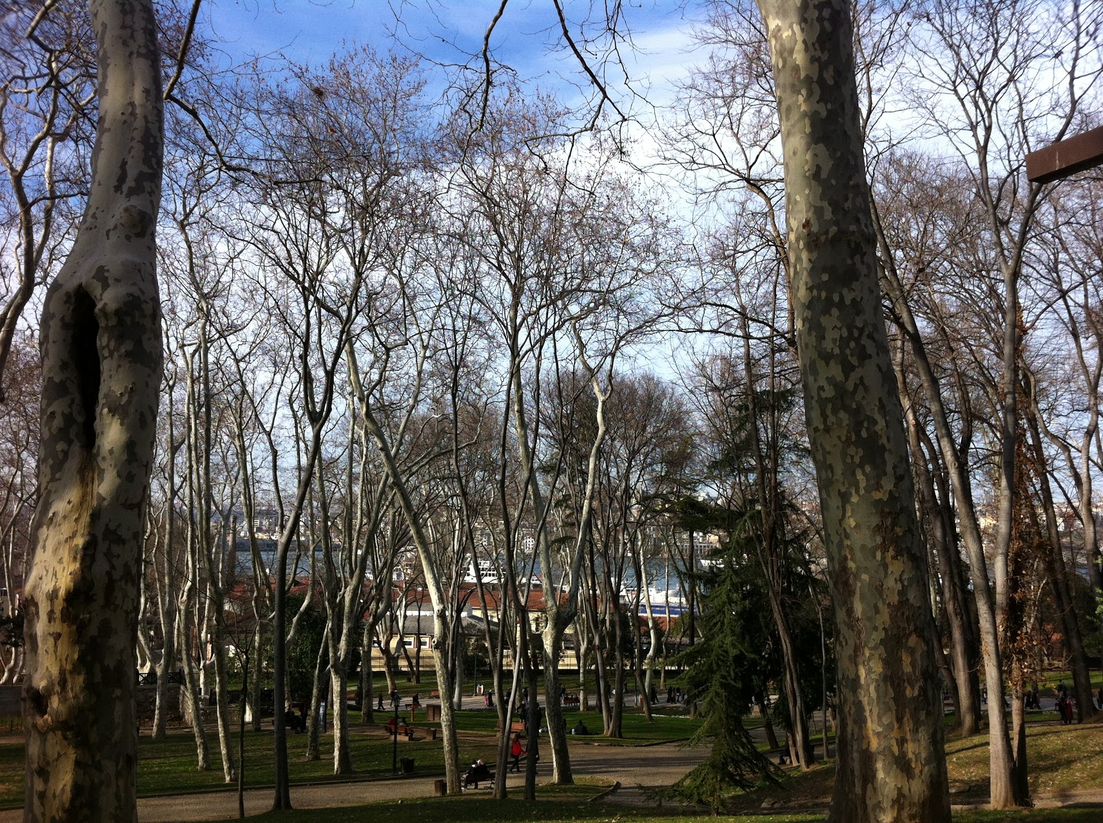 Çilek Seven Papağan Bugün Ne Yaptım 3 (Gülhane Gezisi)