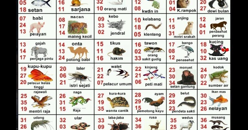 7200 Koleksi Gambar Binatang Pelarian Fajar Pakong Terbaru Gambar Hewan